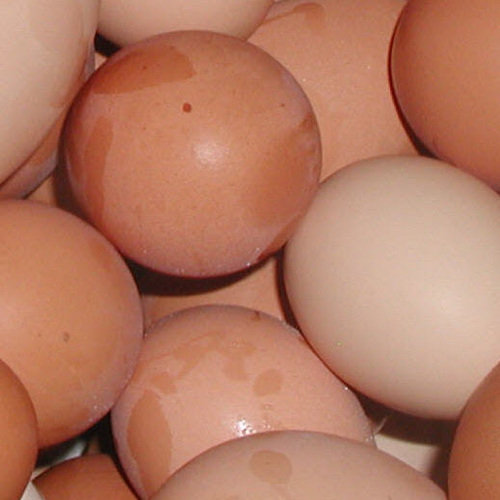 spdawson's profile picture. Software Engineer. PGP: https://t.co/WYpRW5pPSI