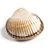 Berberecha77's profile image