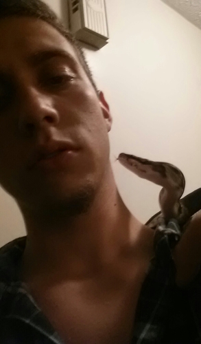 DotheDrew92's profile picture. 