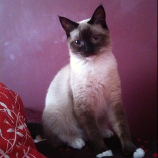 MobyMobster's profile picture. 