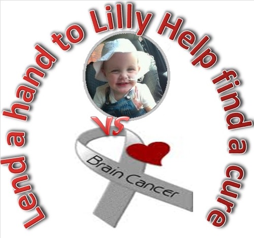 Lend a hand to Lilly is for fund Raising for Cancer support and Cancer Research, Lilly is a 2 year old Girl with a rare Brain Cancer