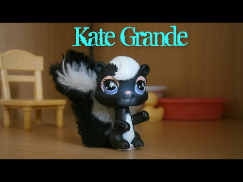 LPSKateGrande's profile picture. Мне 12 лет, снимаю LPS фильм Анонимная звезда!
Подписывайтесь на мой канал!