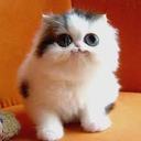 yasmim35 (@0028922yasmim35) Twitter