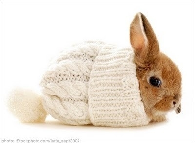 Nfuze4u's profile picture. Certified Reicki and Holistic Practitioner since 1984, Mom, Super Pet Owner, Love Comedy & Romance & Family Time