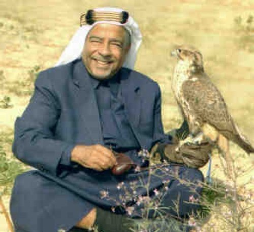 Moh119222's profile picture. 