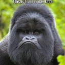 Gary lamp - @lamp_gary - Twitter