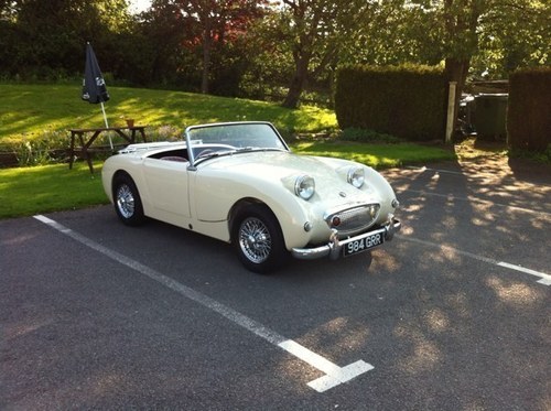 muppet7591's profile picture. 