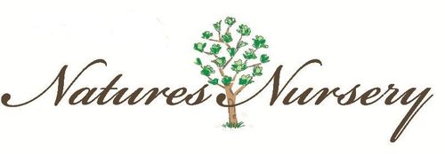 Natures_nursery's profile picture. Natures Nursery is a company supplying organic clothing and products for babies and children.