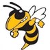 Wasatch Wasps  (@wasatchhighscho) Twitter profile photo