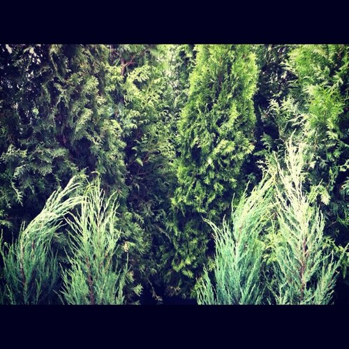 kurkino's profile picture. Район Куркино, СЗАО г. Москвы.