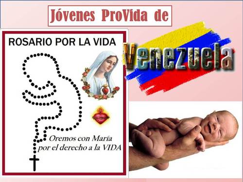 Jóvenes ProVida de Venezuela. #Provida #Promatrimonio #Prolife #Familia #Valores #Castidad #Alegría Rumbo a la JMJ #Panamá2019