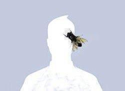 omush65's profile picture. 