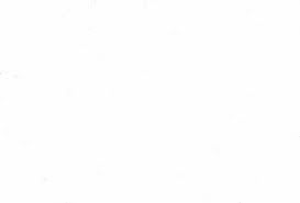 orangetabby06's profile picture. cat