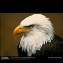 Sally Whitaker - @WhitakerSally - Twitter