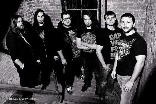 echoes of the fallen