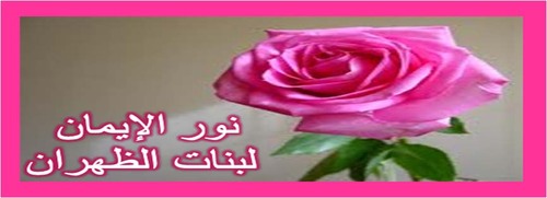 noooreman's profile picture. 