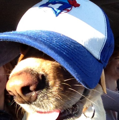 TorontoCelebs's profile picture. From local favourites to Hollywood darlings, this city is crawling with celebrities. Follow to find out where they're spotted!