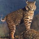 Karl Newkirk - @KarlNewkirk1 - Twitter