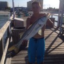 Troy Romano - @TroyRomano - Twitter