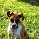 Bret Baird - @BretBaird - Twitter