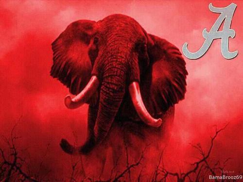 justin_downing's profile picture. 