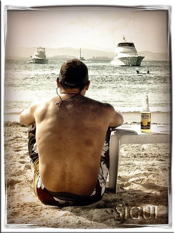 sigfredovet's profile picture. 