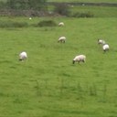 ben naughton - @brierley_ben - Twitter