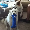 Kaitie Alice Webb - @AliceKaitie - Twitter