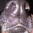 dslutzker's profile image