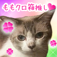 ゆちゃん ゆちゃん (@yu__chan.92) | TikTok