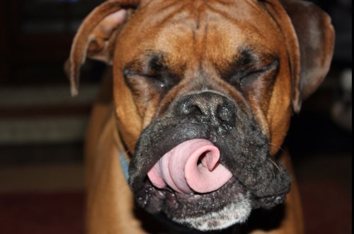 buzzbig1's profile picture. 