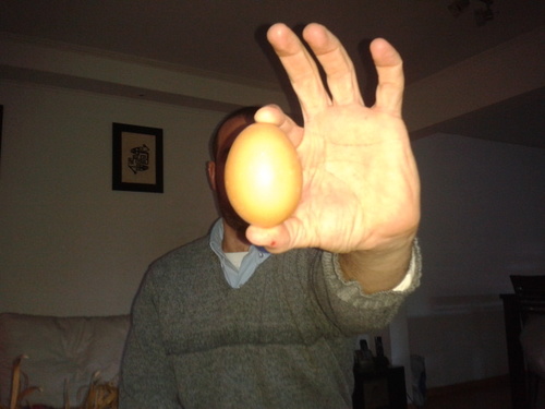 marpbed's profile picture. Argentino por naturaleza y si me preguntan capaz q tambien x eleccion. Padre de 2, hijo de 2. en equilibrio...