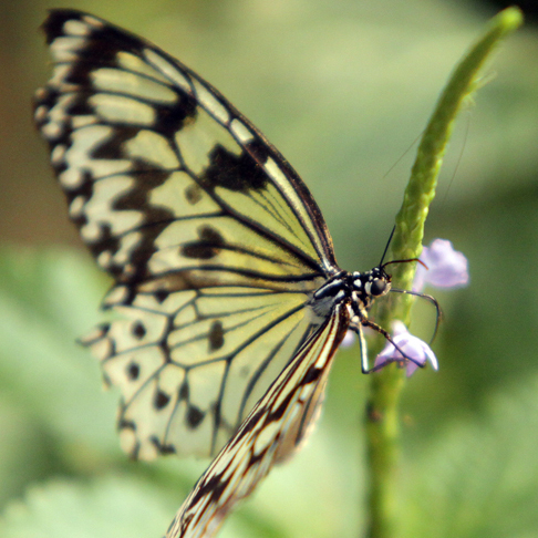 TinkeronEtsy's profile picture. I bead therefore I am :)
http://t.co/s1PTRPFfKi
