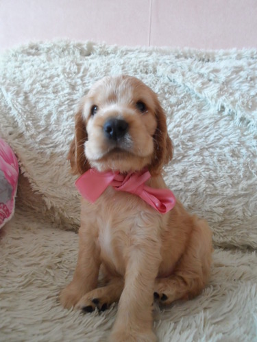 djelli2's profile picture. 