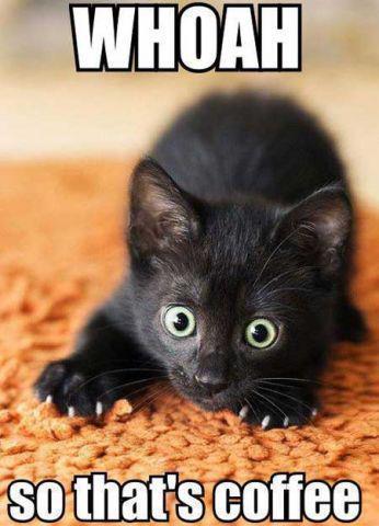 EAT,SLEEP,PLAY!