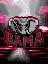 spanky69al's profile picture. 