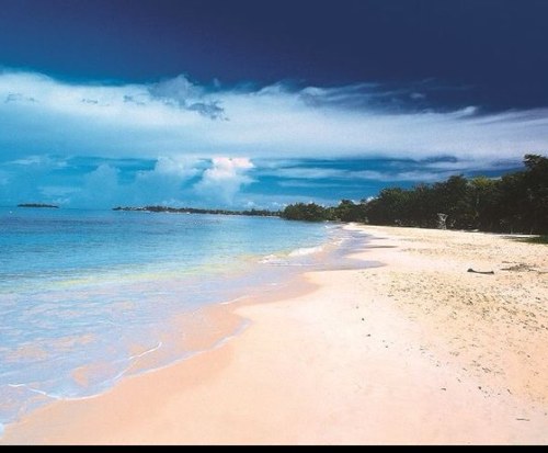 mr_cdc's profile picture. 