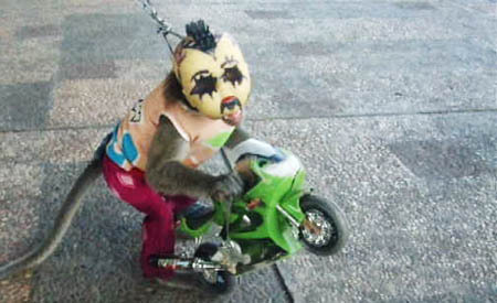 heuheuheuh