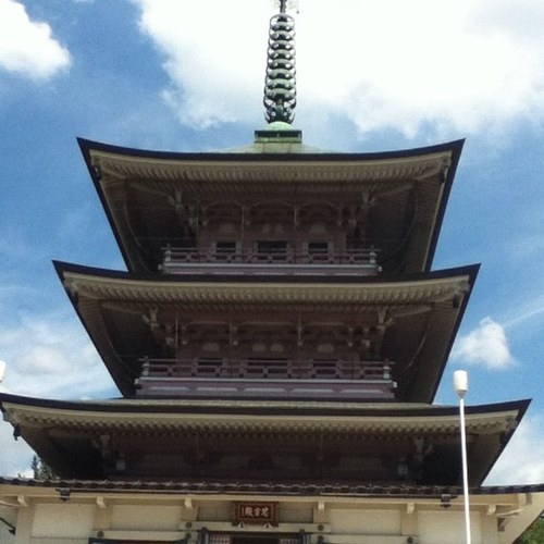 monki2311's profile picture. 