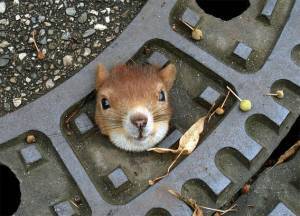 grace_samy's profile picture. 時は来た！ただそれだけだ。