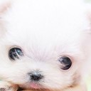 lucy lilly williams - @LucyLucylilly - Twitter