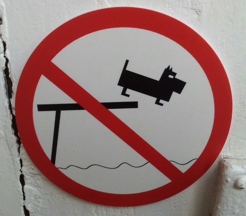 marcusquarkus's profile picture. 