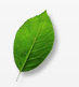 MyCarbonCredits's profile picture. A web site where you can calculate your carbon footprint and offset your carbon usage by purchasing green credits.