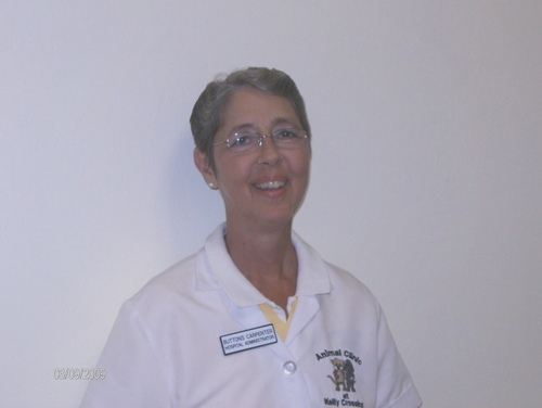 buttonscarpente's profile picture. 