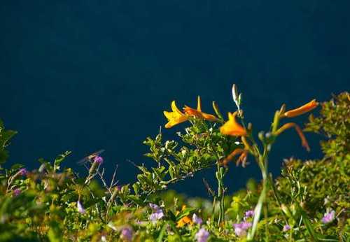 kusangnamu's profile picture. 기독교.여행.그리고 세상을 향한창문하나 내고싶읍니다