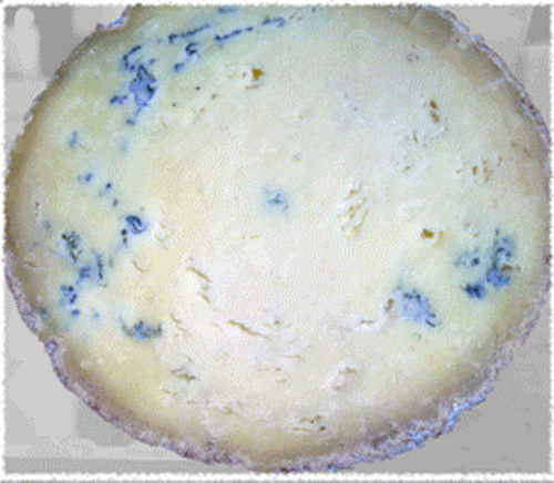 Searching for the world's 100 best cheeses...