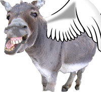 donkeywings