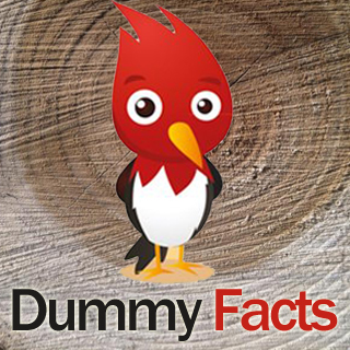 Dummy Facts is full of interesting, surprising, geeky and random facts written in colorful note pads for you to read, enjoy and share.
