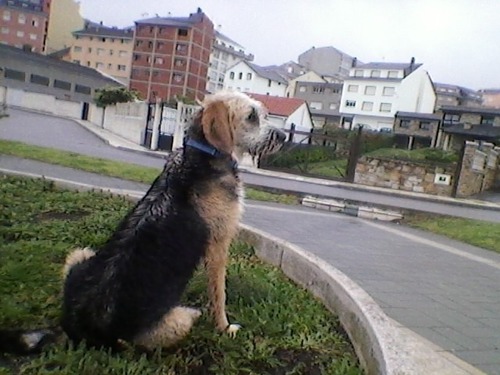 No suelo decir mucho de mi, simplemente Sigueme ;)