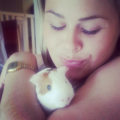 ninanorvik's profile picture. 